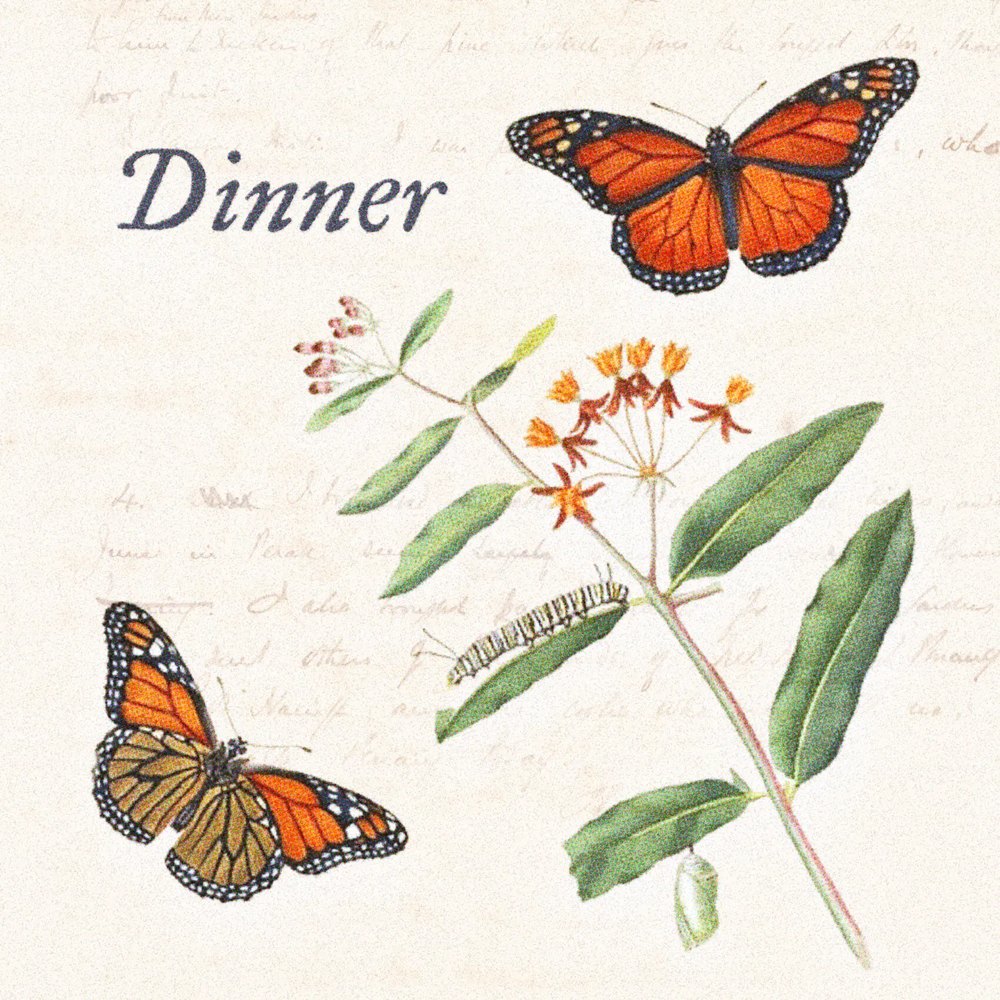 dinner-butterflies_ywle19