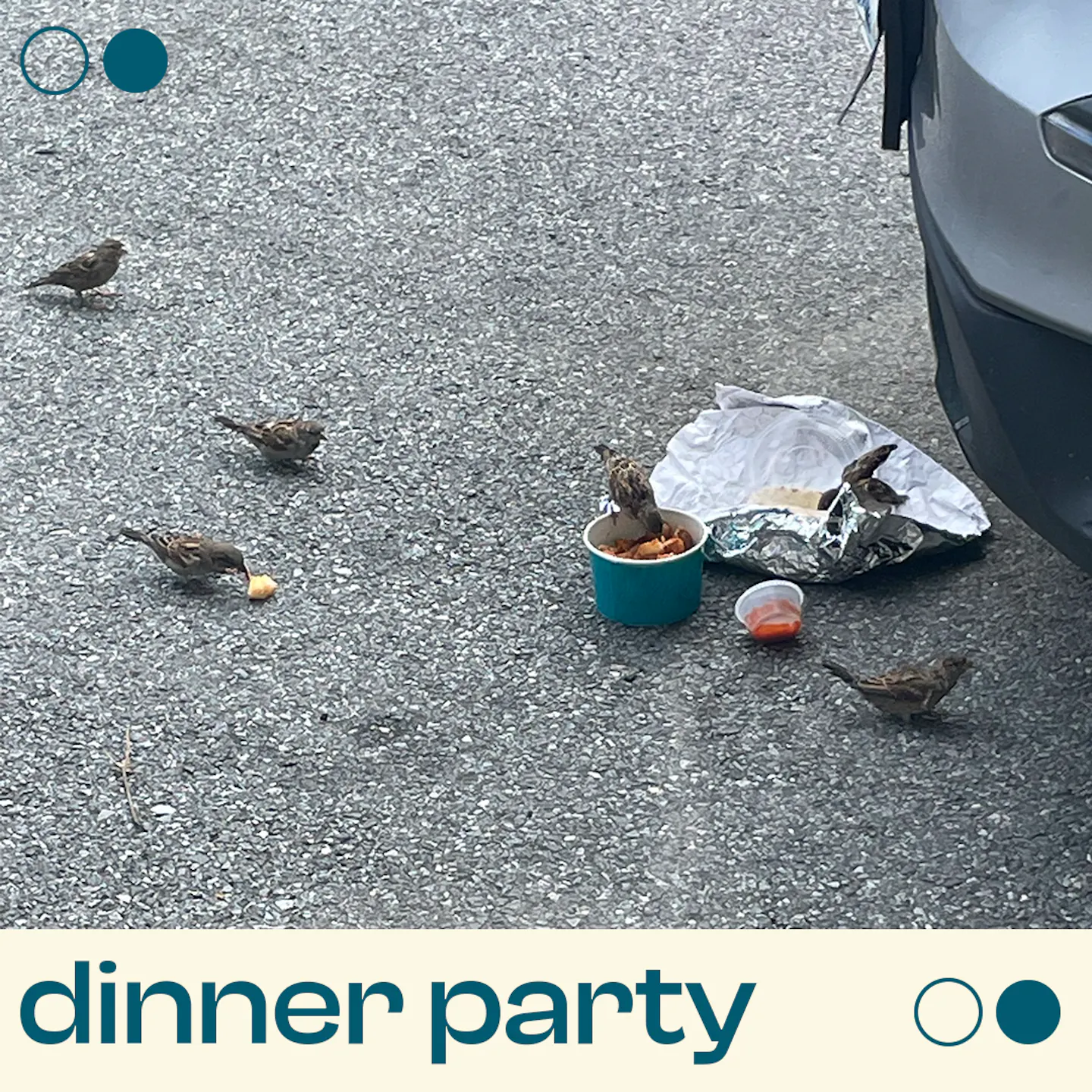dinner-party-city