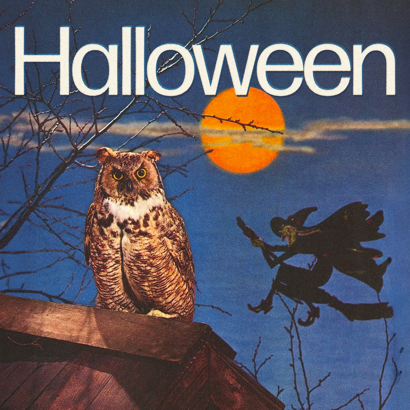 Spooky Wildwaves Fun! | Partiful