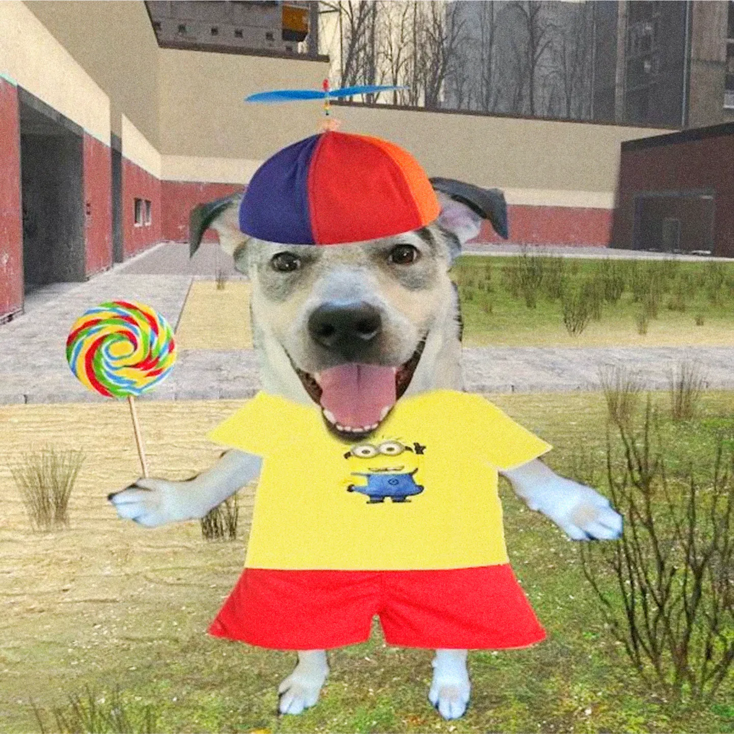 meme-dog-spinny-hat.png