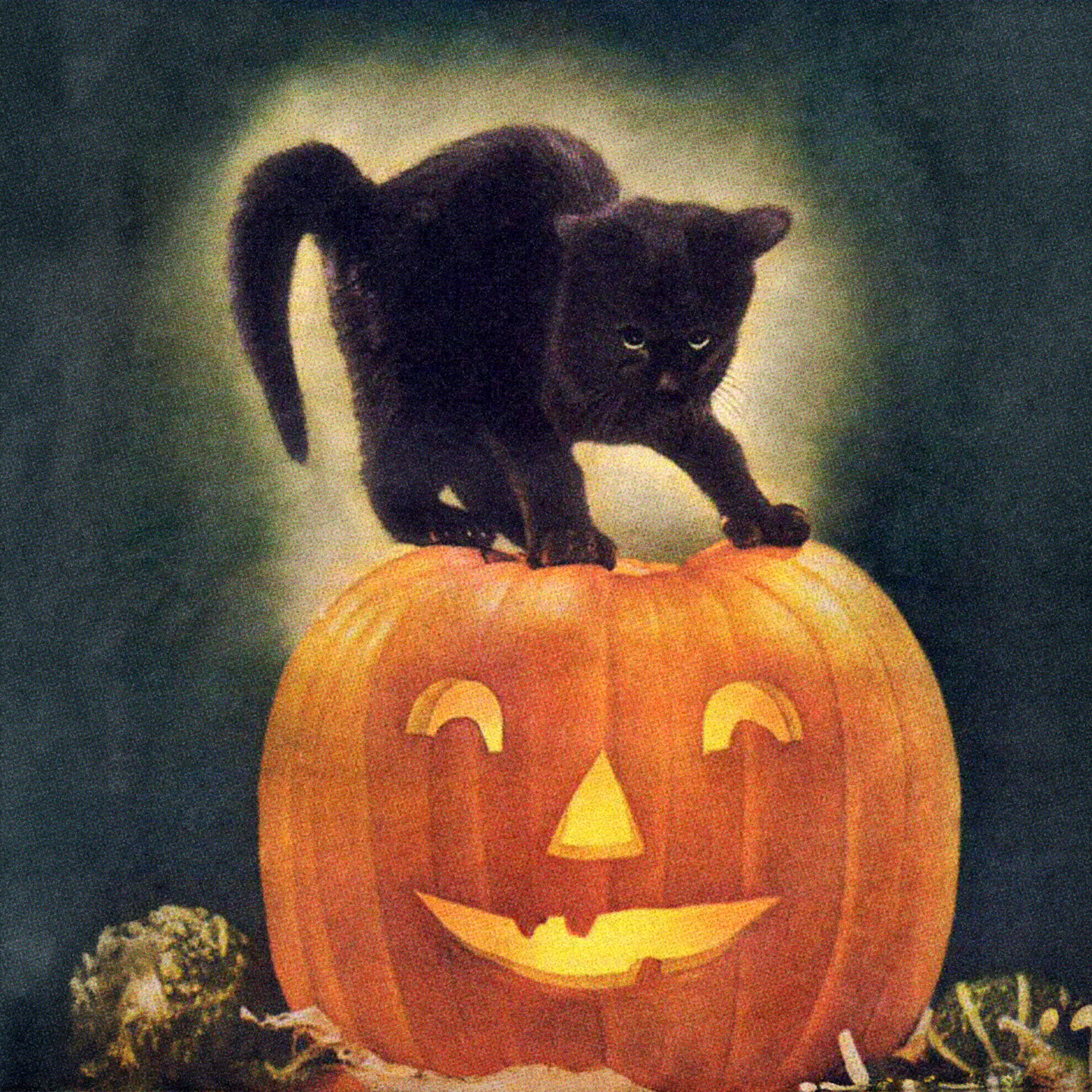 Ryan’s Halloween Party | Partiful