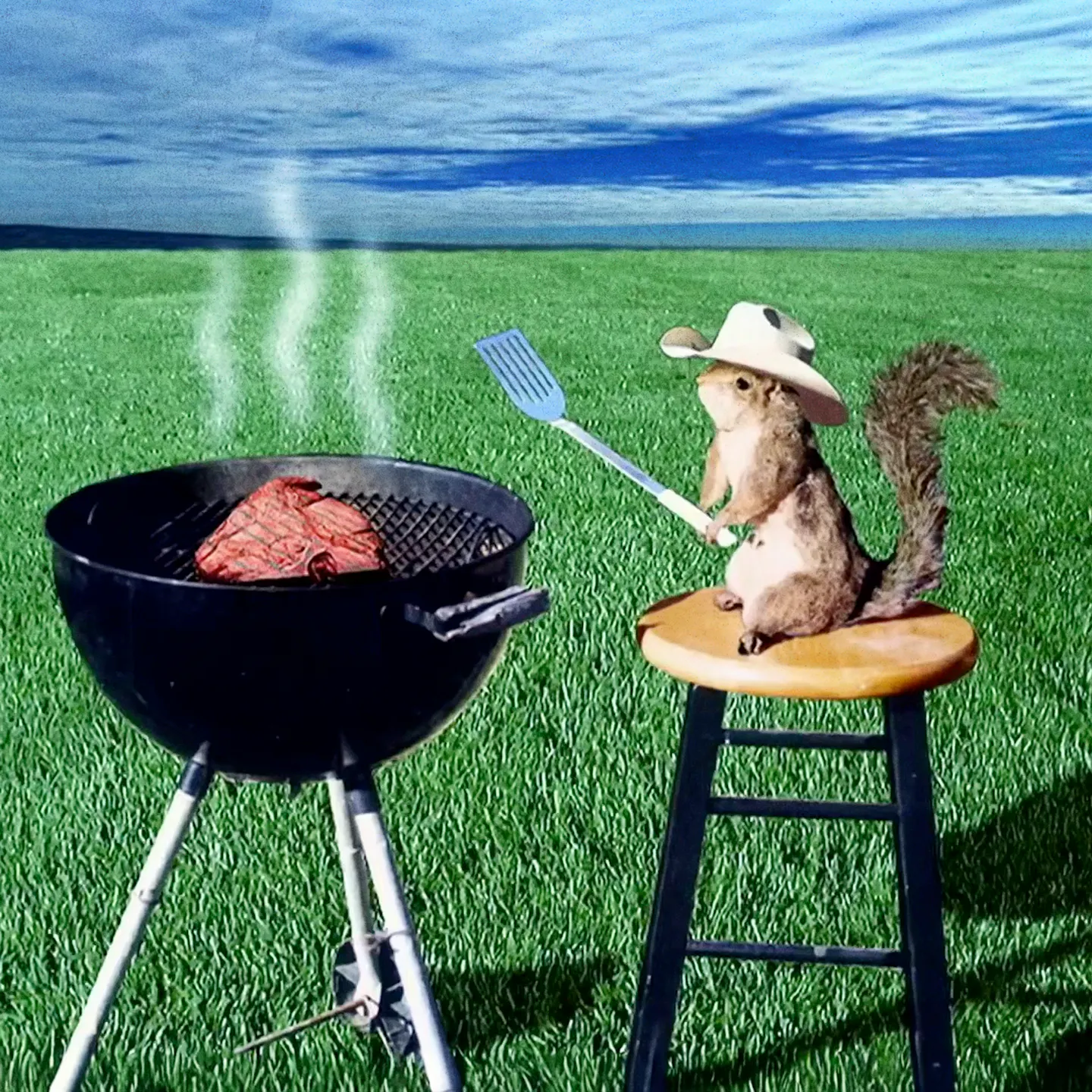 spongebobsquirrelgrill.png
