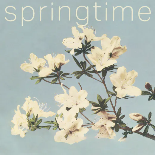 springtime_white-flowers